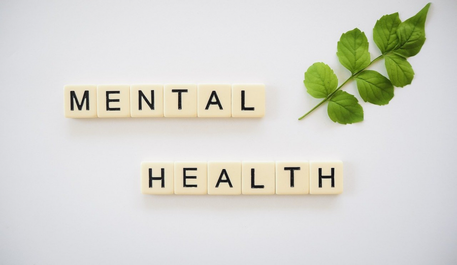 What is the Link Between School & Mental Health?